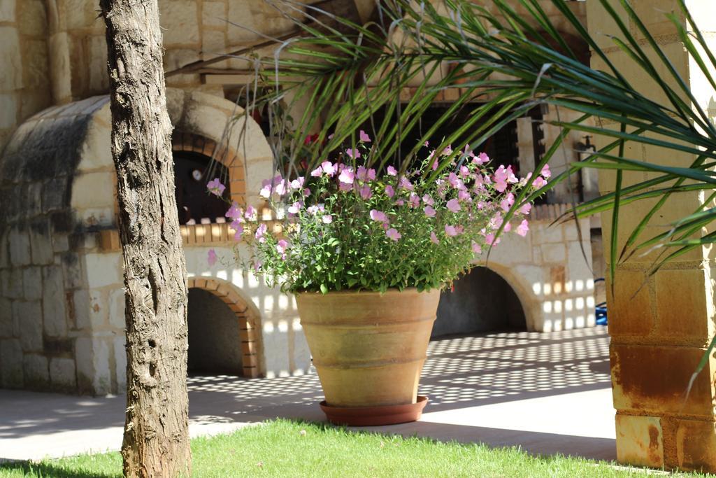 Villa Alimedon อัลมีรีดา ภายนอก รูปภาพ